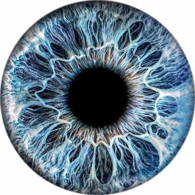 Lrslee's profile picture. This and That..... account used purely to follow interests