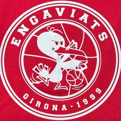 engaviatsgirona Profile Picture