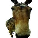 Darryl Goldman - @darrylgoldman - Twitter