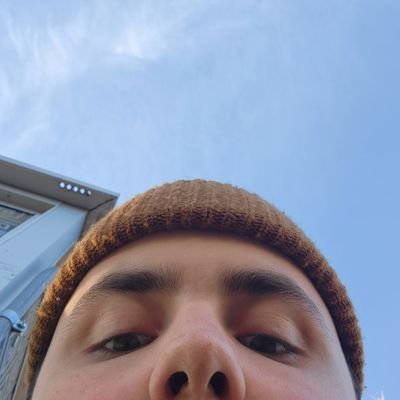 lcamanderson's profile picture. Journalism student. Insomniac.