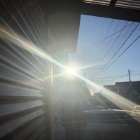 どらやき (@dorakeendodo) 's Twitter Profile