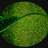 grmonline's profile image