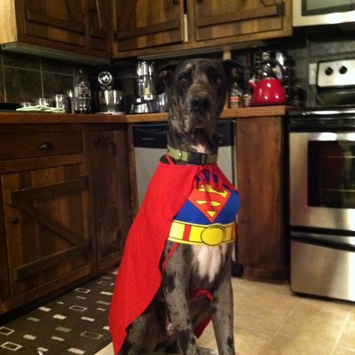 ZMadd1212's profile picture. 