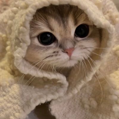 5k🔜?? | Follow us for the best animal content