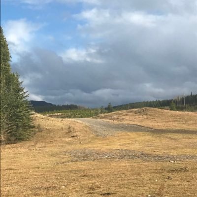 CADCoinHunters's profile picture. Hey y’all