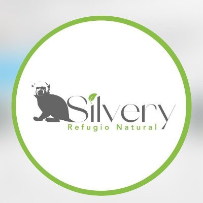 silveryrefugio Profile Picture