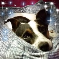Judy (@j02695868) 's Twitter Profile