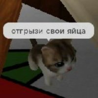spleenabscess (@ciclectiya) 's Twitter Profile Photo spleenabscess (@ciclectiya) 's Twitter Profile Photo
