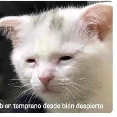 CaliEcuador's profile picture. 