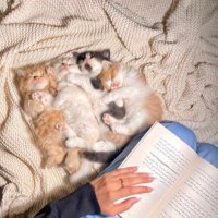 مها حسن (@maha_22h11) Twitter profile photo