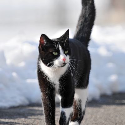 yomanmf's profile picture. 