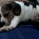 Gary Zarate - @ZarateGary - Twitter