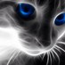 Faustino Rosa (@ninorosa123) Twitter profile photo Faustino Rosa (@ninorosa123) Twitter profile photo
