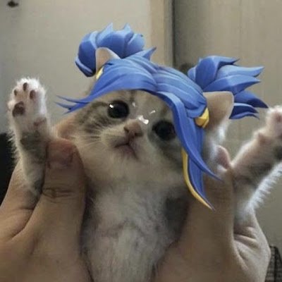 seongseung20093's profile picture. 