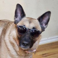 🇺🇲 LivinJeepFabulous 🇺🇸 (@soonersidekick) 's Twitter Profile