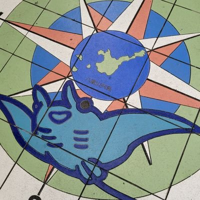 Echidna04659432's profile picture. 