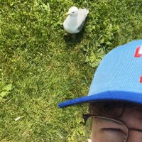 Dylan (@dylansmcneill) 's Twitter Profile