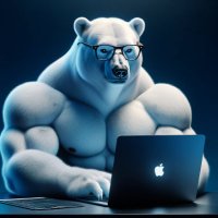 White Bear Coder (@arthur23dev) 's Twitter Profile