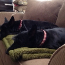 Malcolm & Winston - @MalcolmWinston - Twitter