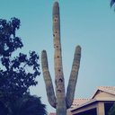 Chad Switzer - @ChadSwitze82833 - Twitter