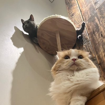 04lulu2's profile picture. 