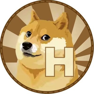 DOGH will be the successor of DOGE, the first social finance meme coin with the highest number of zeros on the BRC20 track