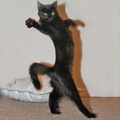 rha_atiny's profile picture. 