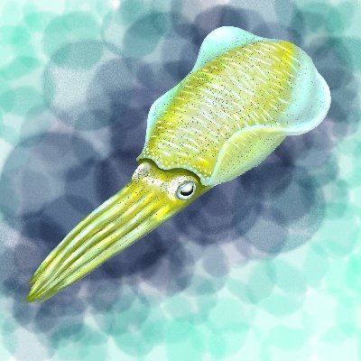 鹿児島大学水産学部
イラストを描きます。生物の写真も撮ります。
古生物、水圏生物、無脊椎動物(カニ・イカ・昆虫・ヤスデ等)が好きです。蟲神器ファン。カニノケンカ・ニやってます