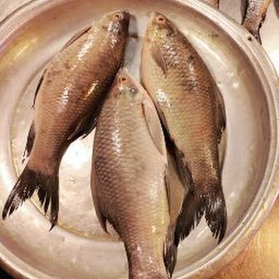 masudsarke's profile picture. 