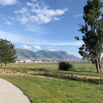 aiecn1's profile picture. 