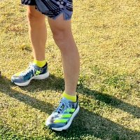 せきひろ (@s_pt_runner) 's Twitter Profile