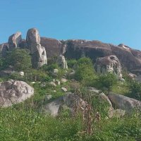 ISSA HIGENYI (@higenyiissa) 's Twitter Profile