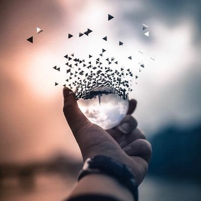 S43eed1's profile picture. 