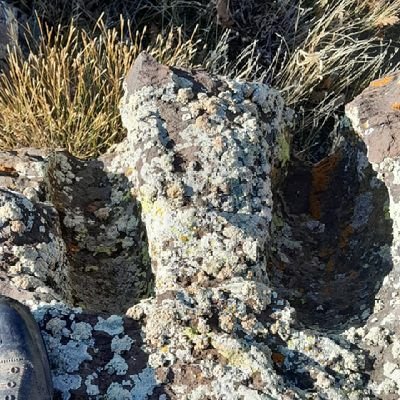 tayfun47922731's profile picture. 