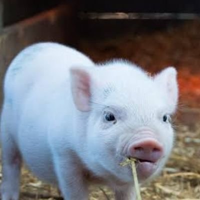 wJmWYo4Uhe3429's profile picture. プロフィール見たねフォローしてね