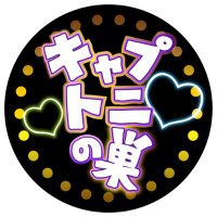 キャプトニの巣 (@stsnest) 's Twitter Profile