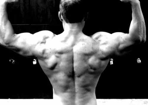 shamik121804's profile picture. Digital Imaging Specialists_Photoshop Guru
49ers / Warriors / Braves / Bulldogs: University of Georgia