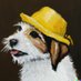 Hans (@havara) Twitter profile photo Hans (@havara) Twitter profile photo