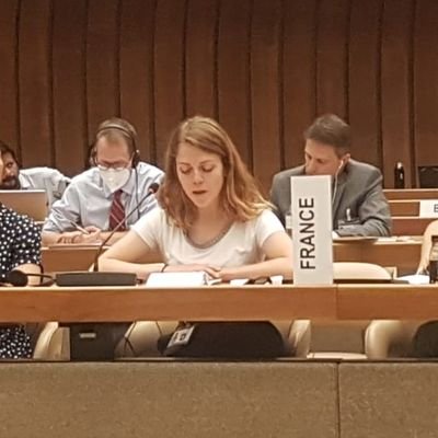 UvinaAnais's profile picture. Formerly space issues. Now Middle East 🇪🇺🇫🇷. #Diplo2metier. Personal views