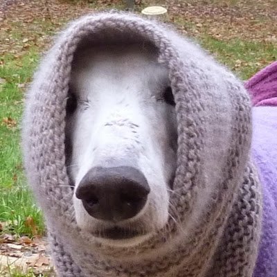 JulianPick47784's profile picture. 