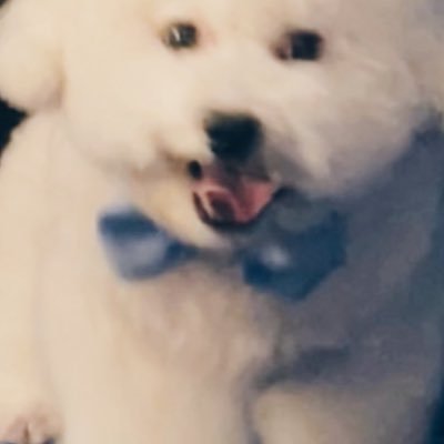 ploychulchul's profile picture. วีอาร์วรรณ