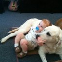 Heidi Cody - @CodyHeidi - Twitter