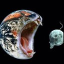 León Fischer - @PuskePuske - Twitter