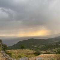 Buk Coin (@sosyoby) 's Twitter Profile