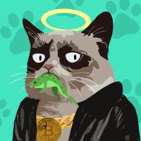 CryptoVICECITY (@thecryptovice) 's Twitter Profile