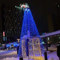 冬夏(よもぎ) (@yosipi201005180) Twitter profile photo