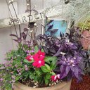 Wilma Edwards - @EdwardsWil34886 - Twitter