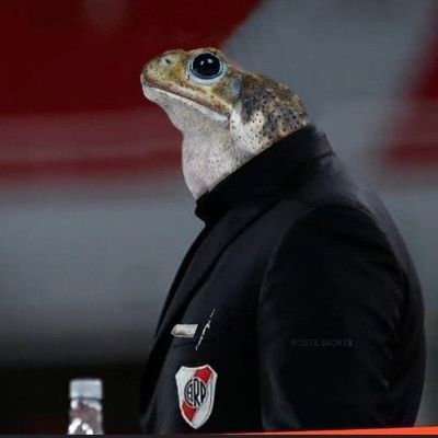 Aslehy16's profile picture. Gagardo-Cuenta de retuits
Nuetro pastor @Bragantinook 🙏
Retuits del momento(ponele)
Dos amigos una sola obsecion ser tuiteros de verdad