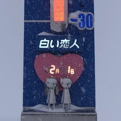 運の良さだけで生きてます。将来はくのいちになります。JKじゃなくなりました。お仕事は使い捨てのごみ箱と踏み台です。