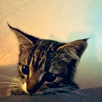T.dontbeedgy (@all_alone_empty) 's Twitter Profile